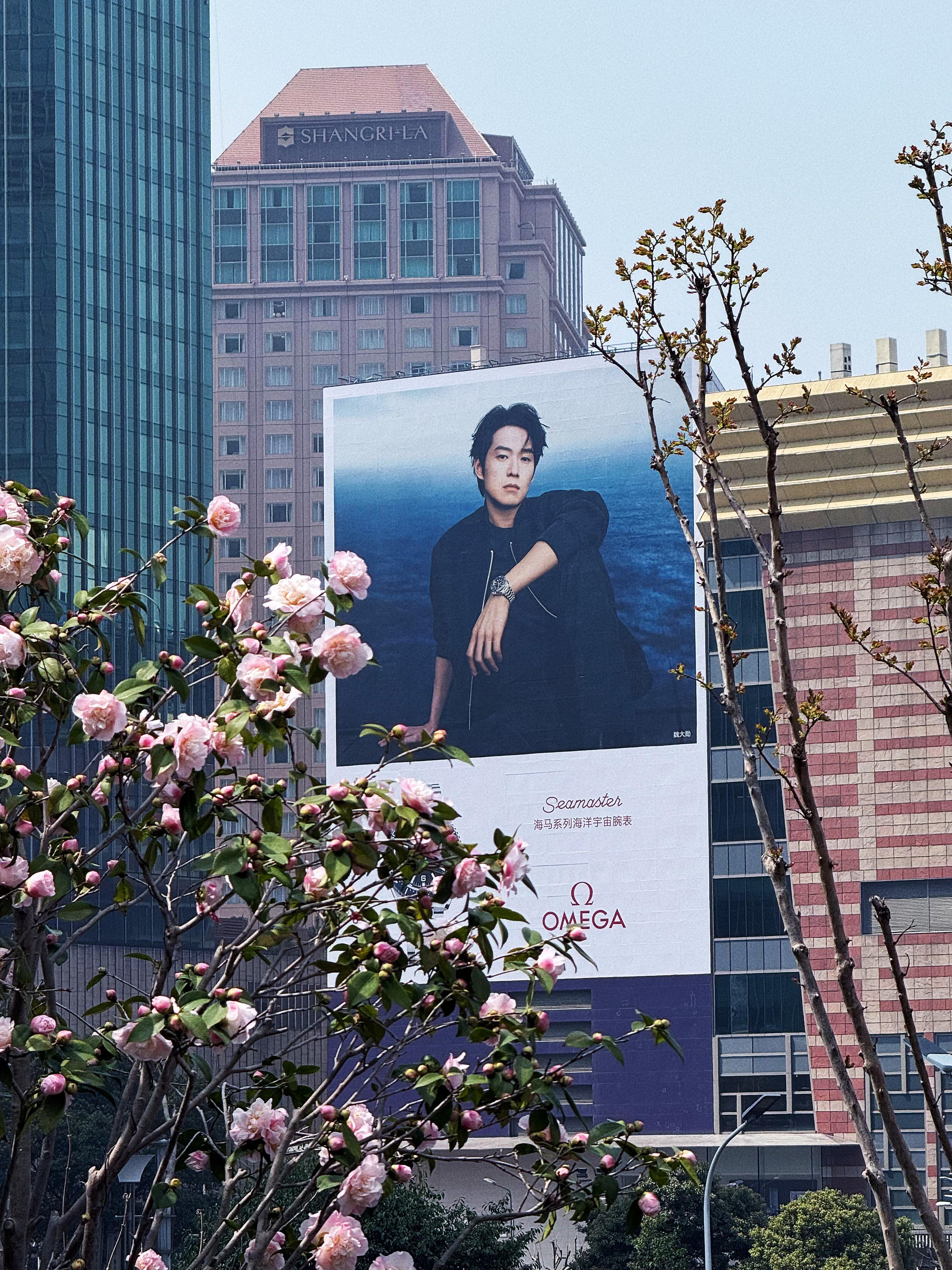 魏大勋巨幅地广直拍排面直接拉满魏大勋