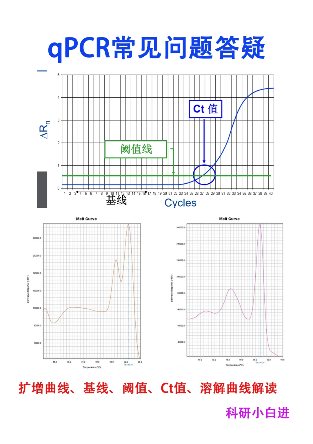 🔥qPCR原理，你真的搞懂了吗？