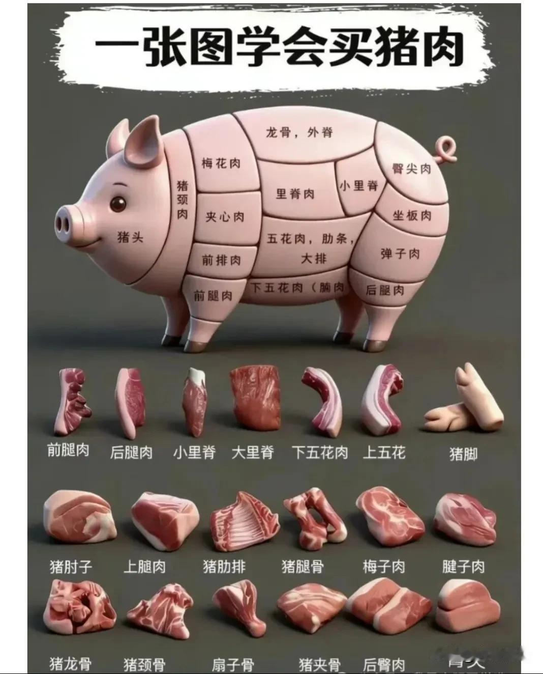 这张图详细展示了猪肉的不同部位及其名称，帮助你轻松学会买猪肉。
    图中用一