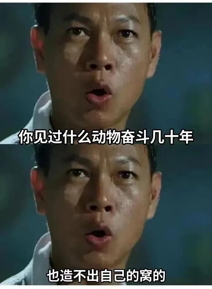 结果奋斗了七十年，所有权还不是你的。

（网图侵删）#记录我的2024#