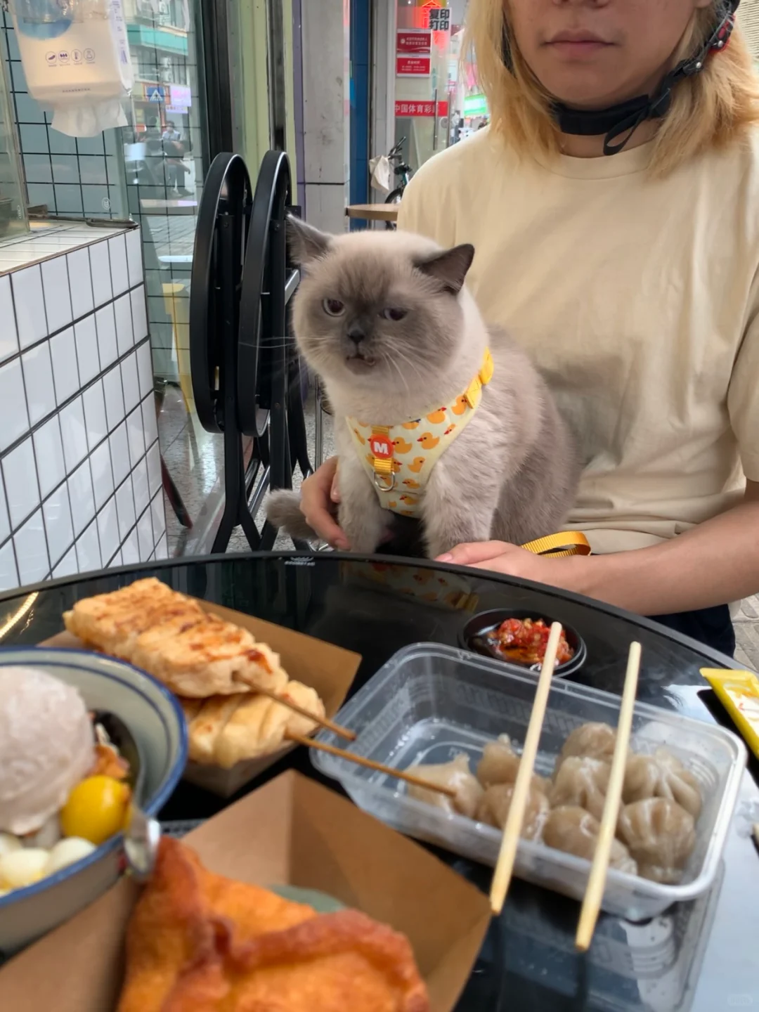 能不能别把猫带到店里啊！