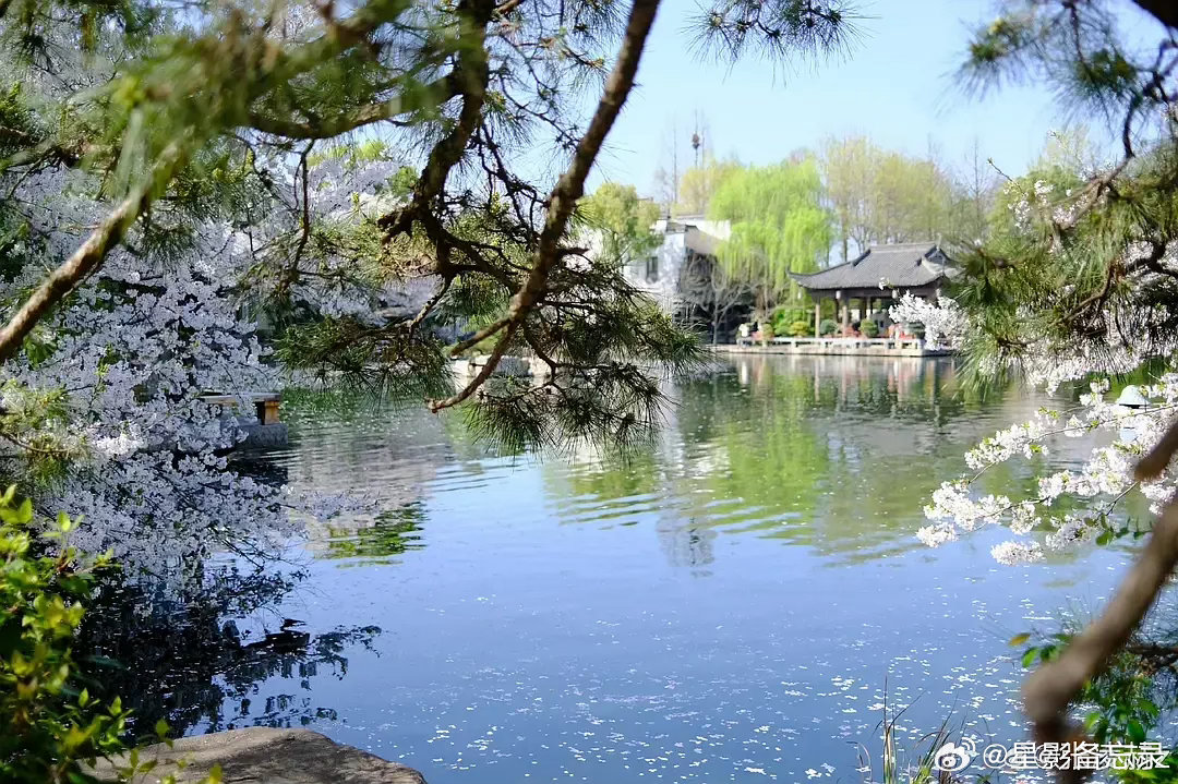 真受不了男明星天天凹摄影师人设 