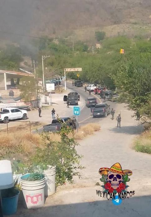 太惨烈了， 墨西哥 一整队武装警察分队，都被墨西哥贩毒物资杀光了，就只有一个人幸