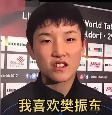 林诗栋为什么最怕张本智和？
因为他们都是樊振东的迷弟，都属于反手体系的选手！
而