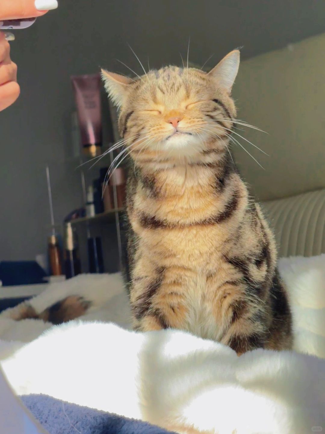 这可爱的小模样不知道迷住了谁