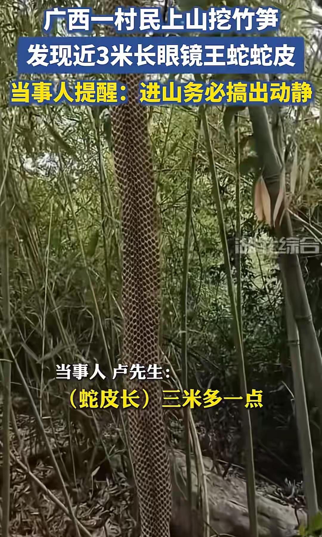 完整榜单
村民回应上山捡到3米多长蛇皮：真相竟然远超你的想象！

近日，一段“村