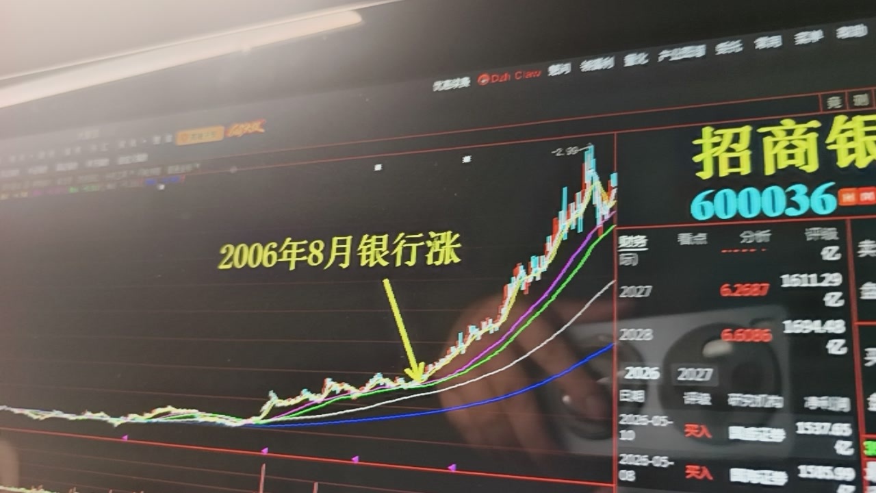 当时银行和现在的半导体芯片一样，搞得散户都崩溃了，指数涨个股亏钱，没有散户相信牛