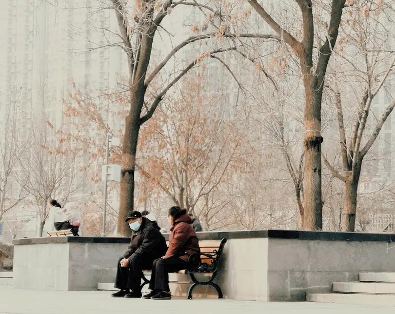 在这个寒冷的冬日，城市被一层冷冽的气息笼罩着，而小区门口的保安大叔，成了我眼中冬