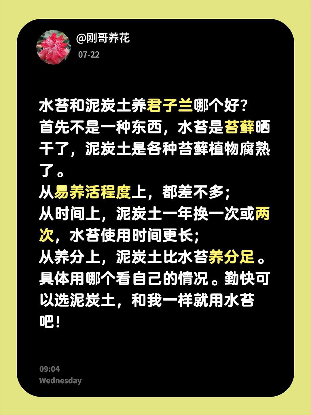 水苔和泥炭土养君子兰哪个好？分享你的花草经验 创作者中心 创作灵感 君子兰养护