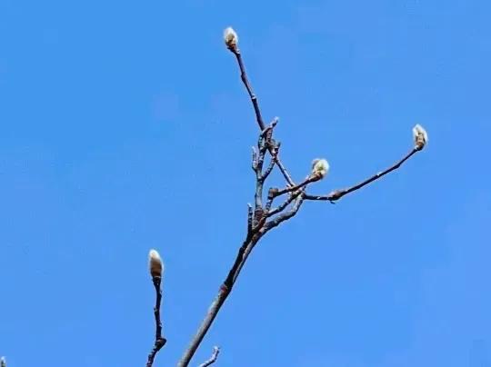 당신 덕분에 제가 이렇게 순조롭게 지낼 수 있었어요.
托你的福，我才能过得