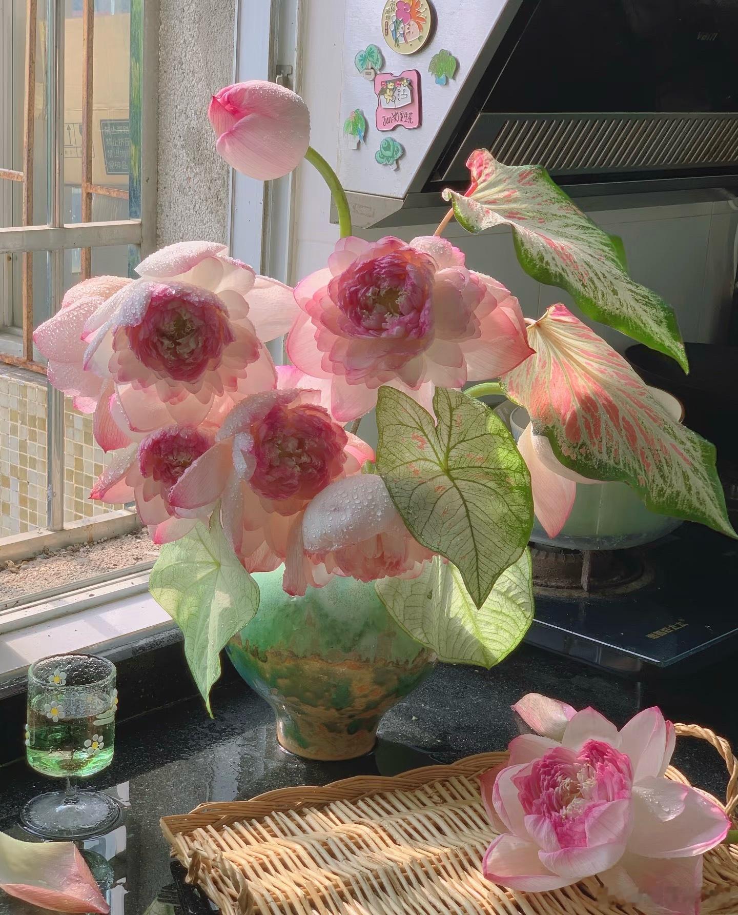 图灵塔罗  戊土职场进入抉择期坚持下去，扛不住放弃，不甘心甲午月是抉择时间🌿?