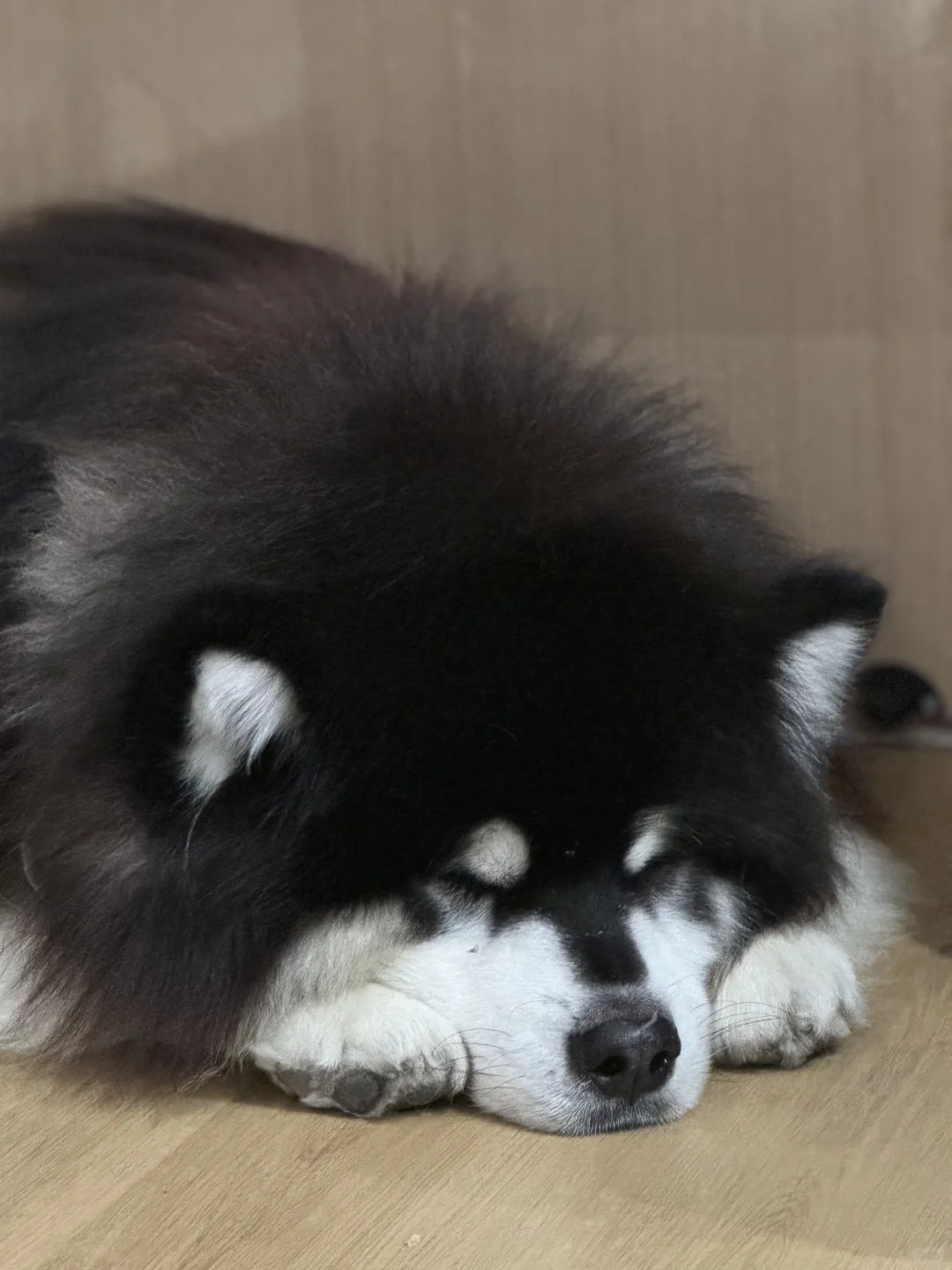 是个香宝宝了～