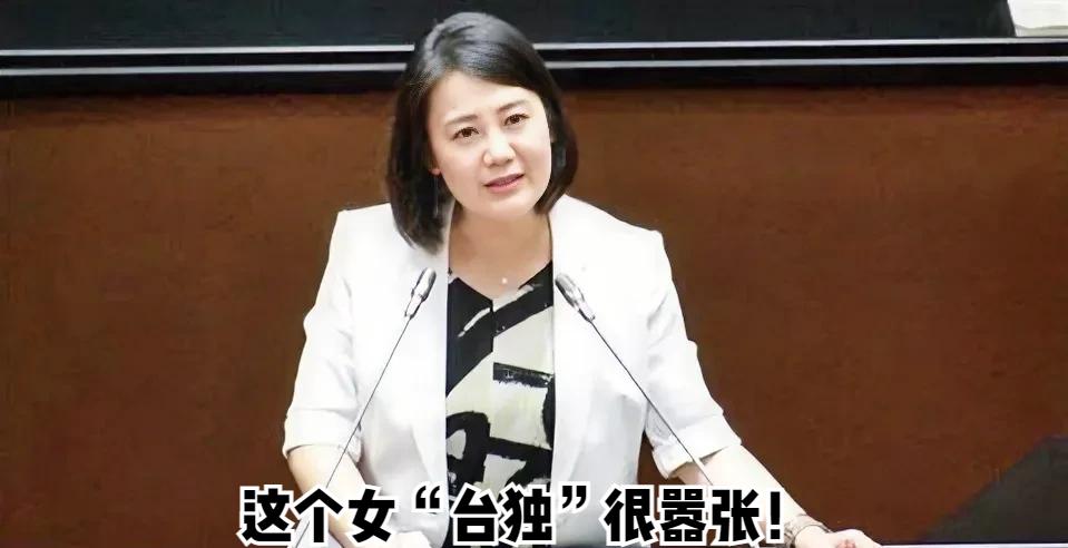 “台独”分子很嚣张！福建海警局在厦金海域展开常态化执法巡查行动，民进党“立法院”