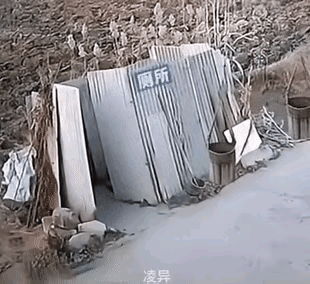 大家发挥想象，被撞出来的哥们此刻是什么心情，谁敢如此无理，老子正蹲在坑上看手机，