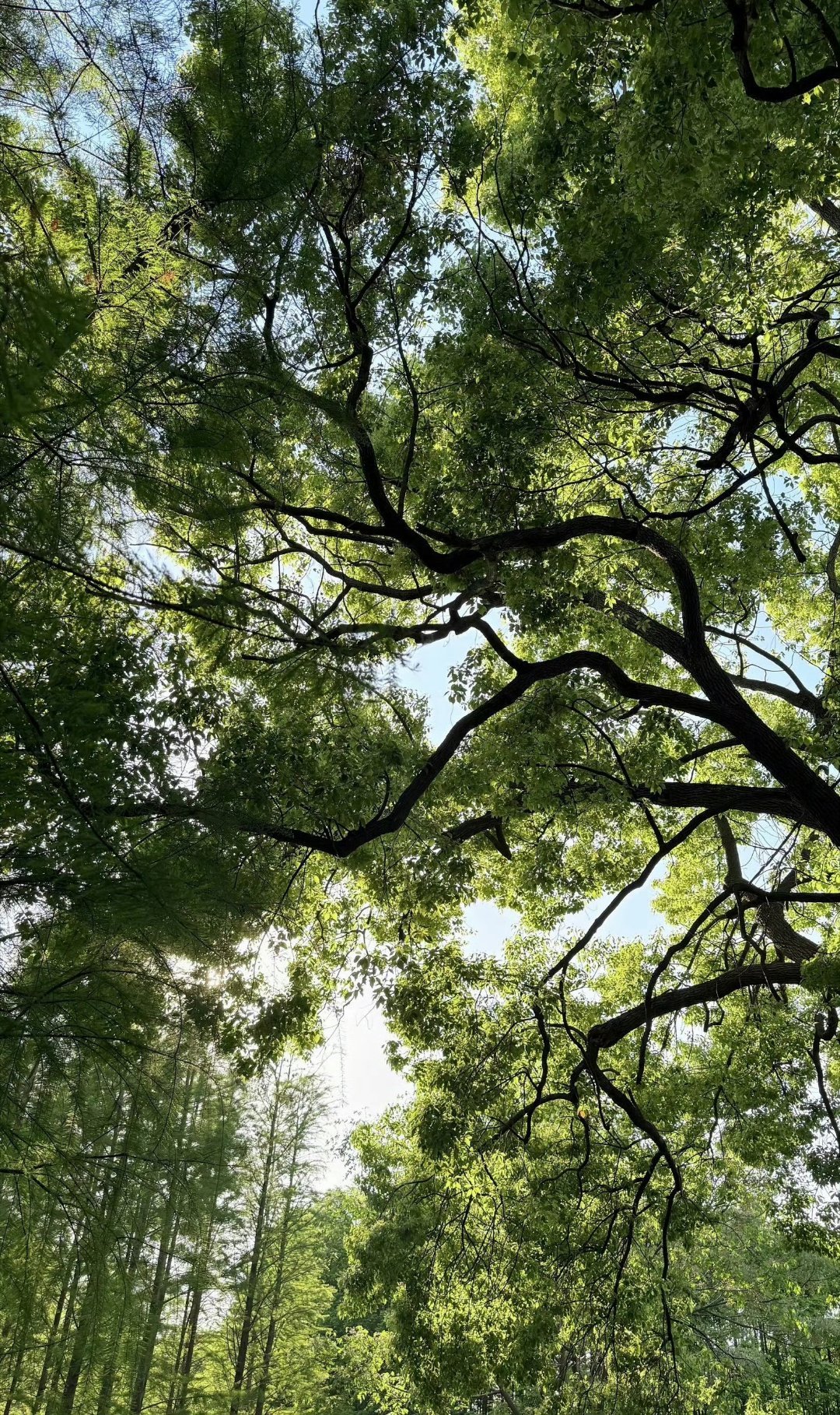 附加遗产｜附加遗产 对未来真正的慷慨是把一切献给现在图源网页链接