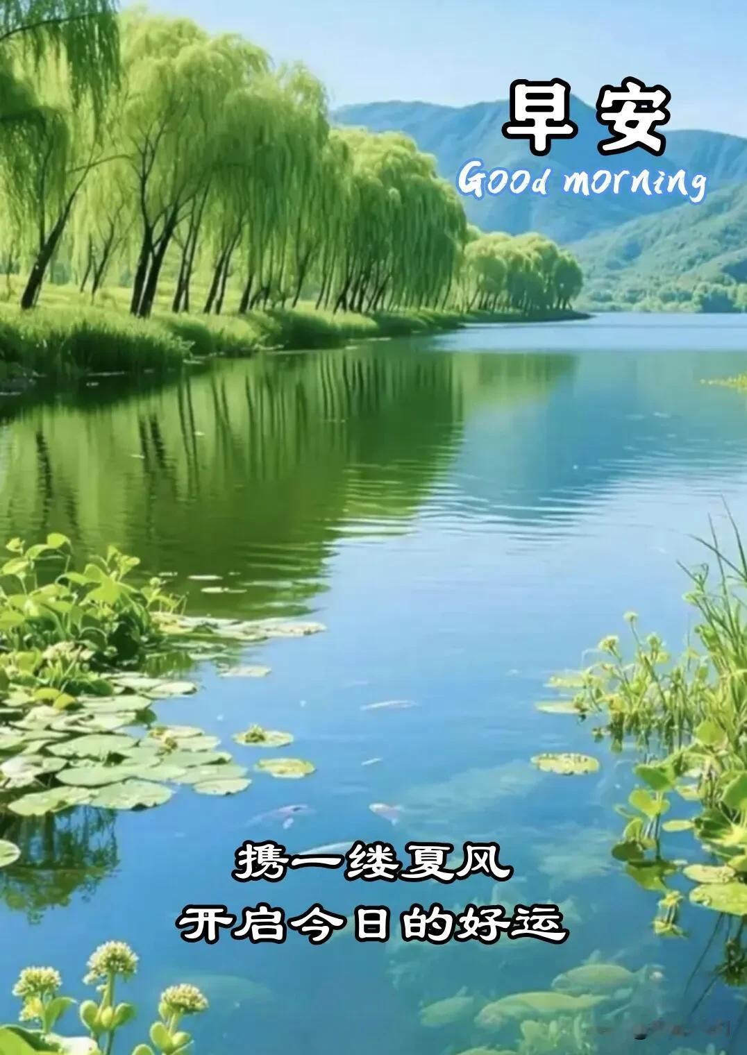 早安，把细碎的温柔留给自己，日子慢慢向好。