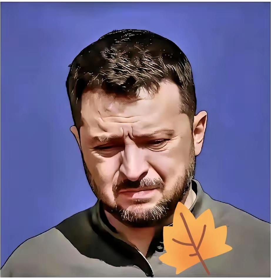 果然没猜错！
​乌克兰总统办公室正式官宣！
​​2025年11月21日乌克兰总统