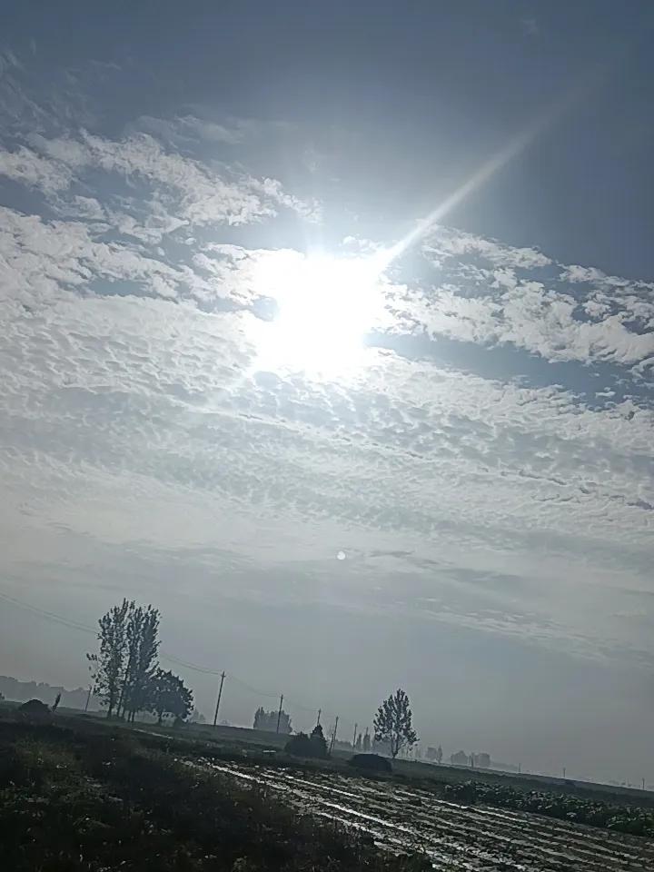 两个月了，河南终于出太阳了！


看见这花生粘疙瘩，抖都抖不掉，十五亩地才弄家里