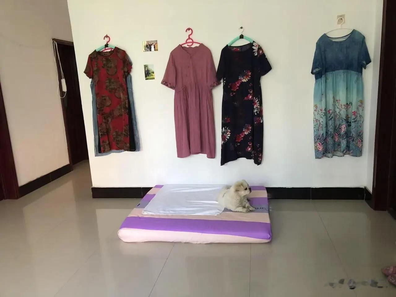 昨天，我的一篇写裙子的微头条爆了，到现在走到快2万的阅读量。

我当时想，这么多