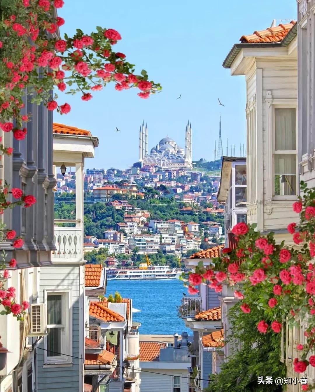 伊斯塔布尔。这可是百年前土耳其的首都。它也是世界的十字路口，那么就得选择向左走还