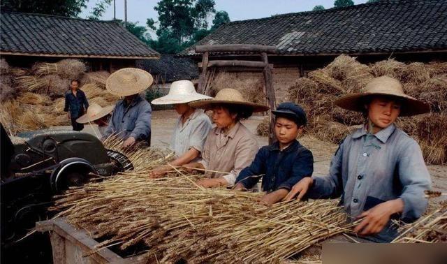 1982年4月5日这天，在吉林永吉县旺起公社，34岁的村干部顾永年借着借耙子的由