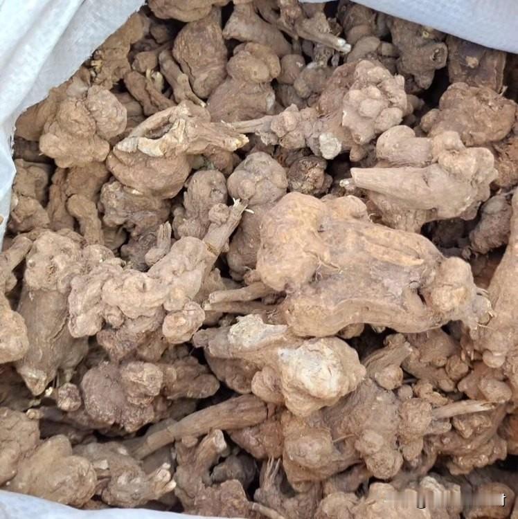 暴雨后影响白术行情的因素有哪些？

白术是创造历史新高的品种，受近日亳州等多地产