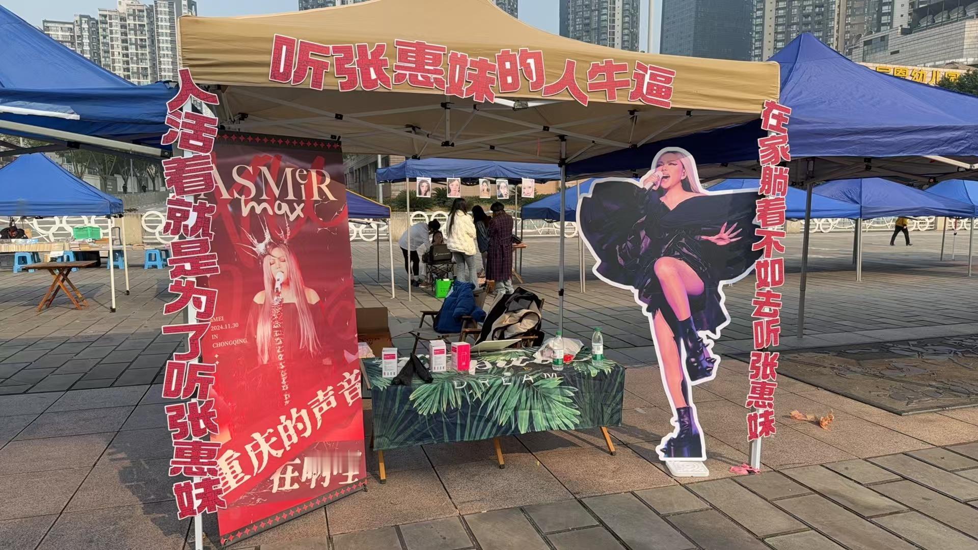 人活着就是为了听张惠妹在家躺着不如去听张惠妹 