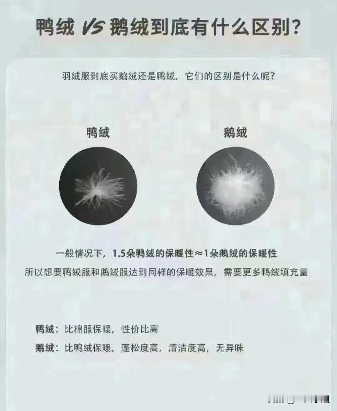 一起涨涨知识📚……
为什么鹅绒服贵⁉️
#我在岛屿读书#