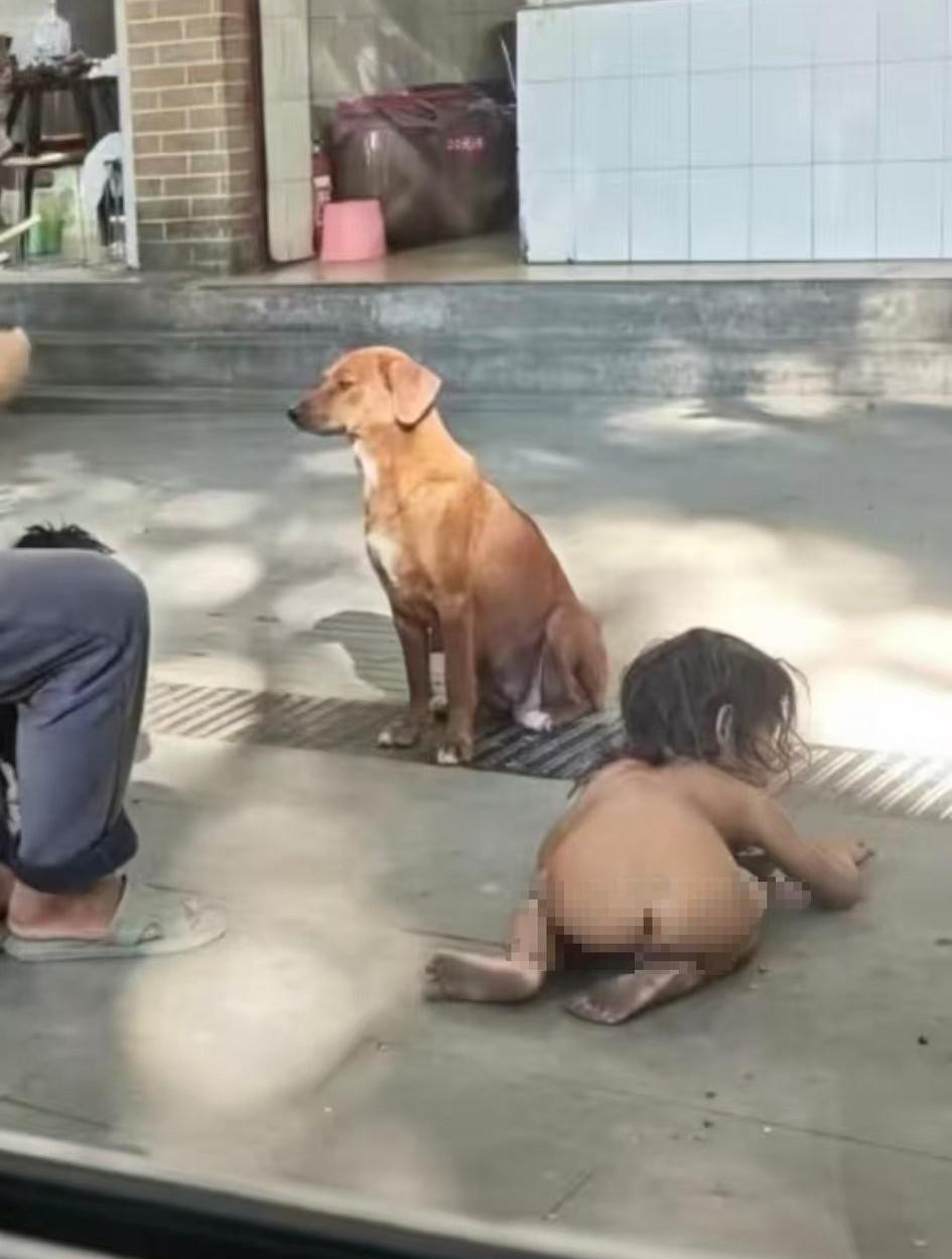 狗主、狗、孩子，一个家庭这样的层级是不对的！人，不论是大人，还是孩子，家庭地位都