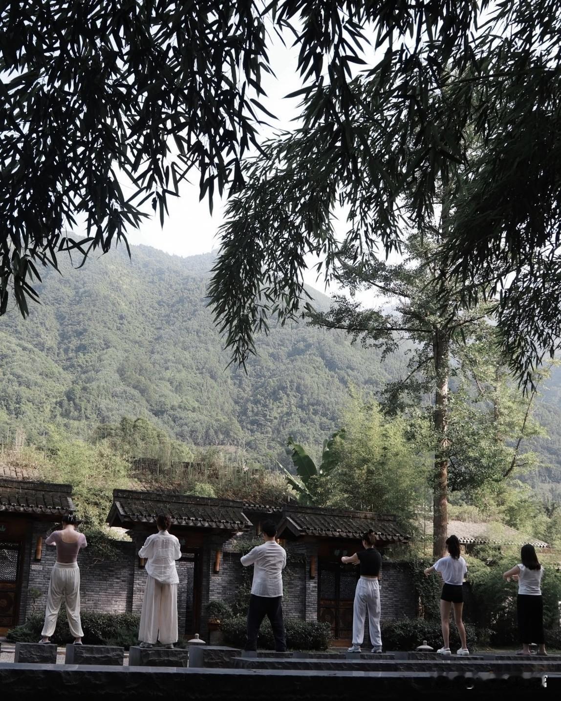 真正厉害的人都在逆养生：

不知从什么时候起，养生变成了一场紧绷的内卷：必须五点