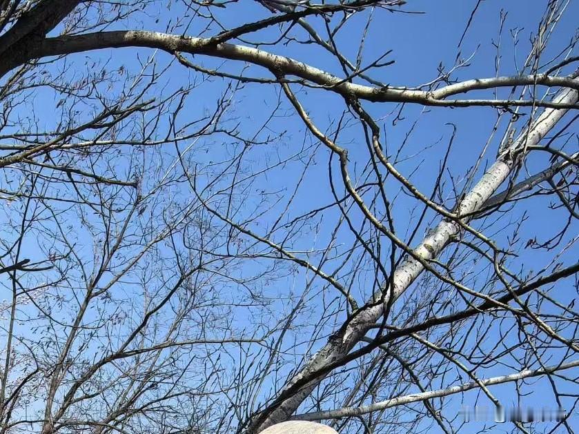 婆婆们，必须接受的一个事实，人最怕的是对别人的期待。
你对儿媳妇的期待越高，失望