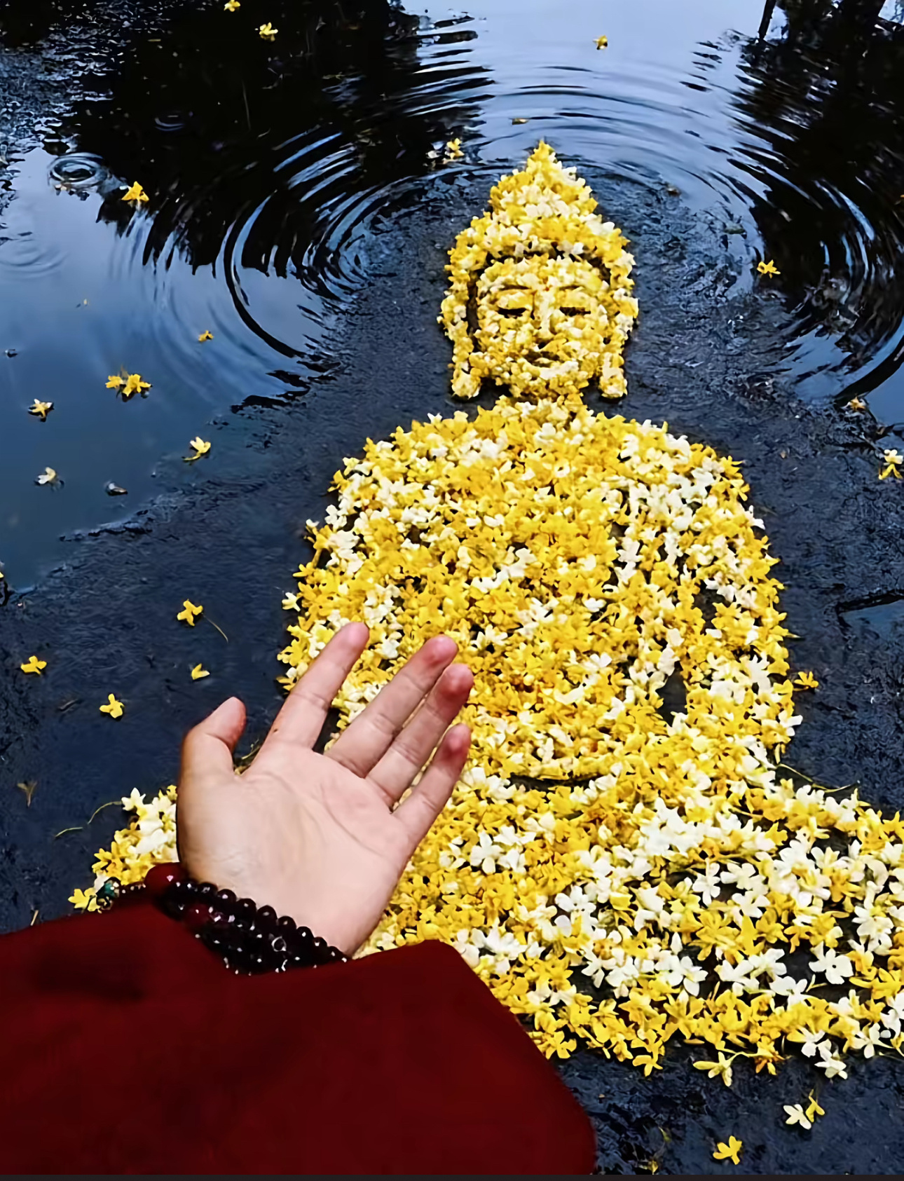 人生一世，不过是活个自己，福，在心不在物；命，在人不在天。无论是福是祸，都是自己