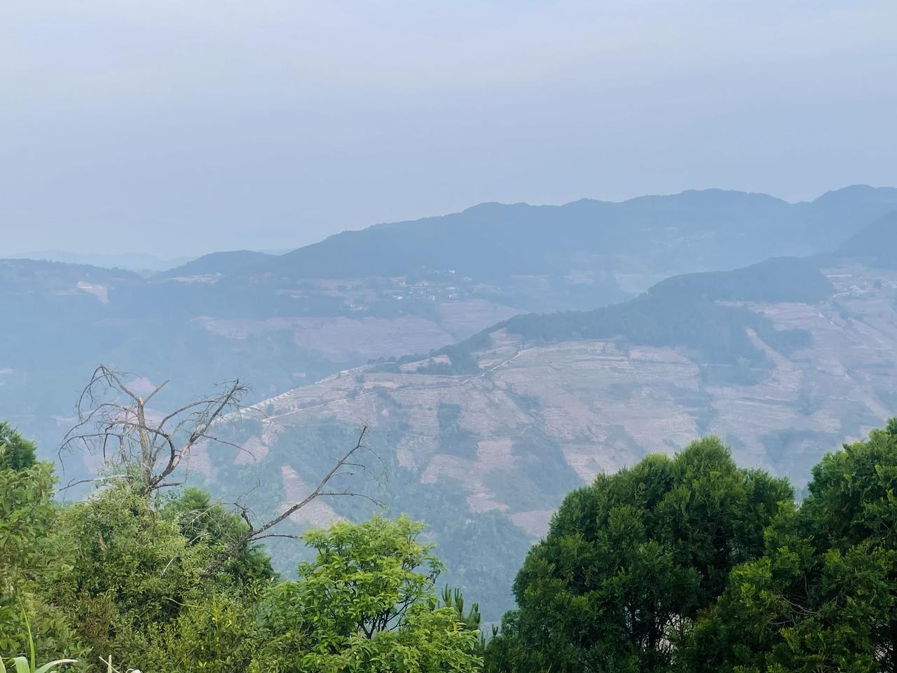 在这片贫瘠的土地上，唯有这牛舌兰独绽青姿；山路的尽头便是山巅，自赣水之源迁徒而来