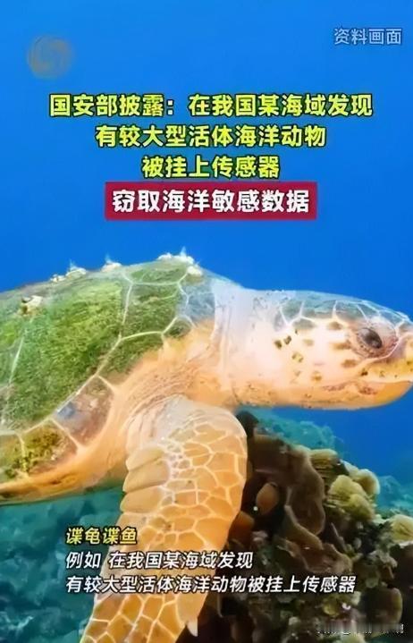 境外间谍无孔不入，我国海域惊现“间谍龟间谍鱼”！6月12日国家安全部重磅发声：境