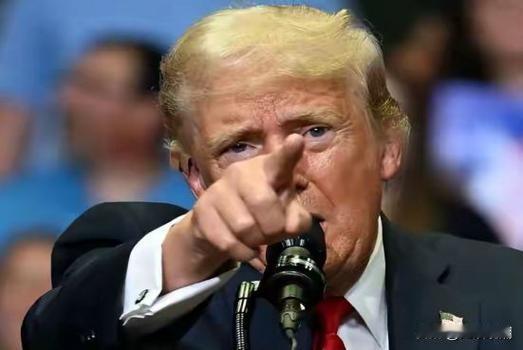 【特朗普封锁霍尔木兹：一步险棋，满盘皆输】霍尔布兹海峡 霍尔木兹危机 
 
美伊