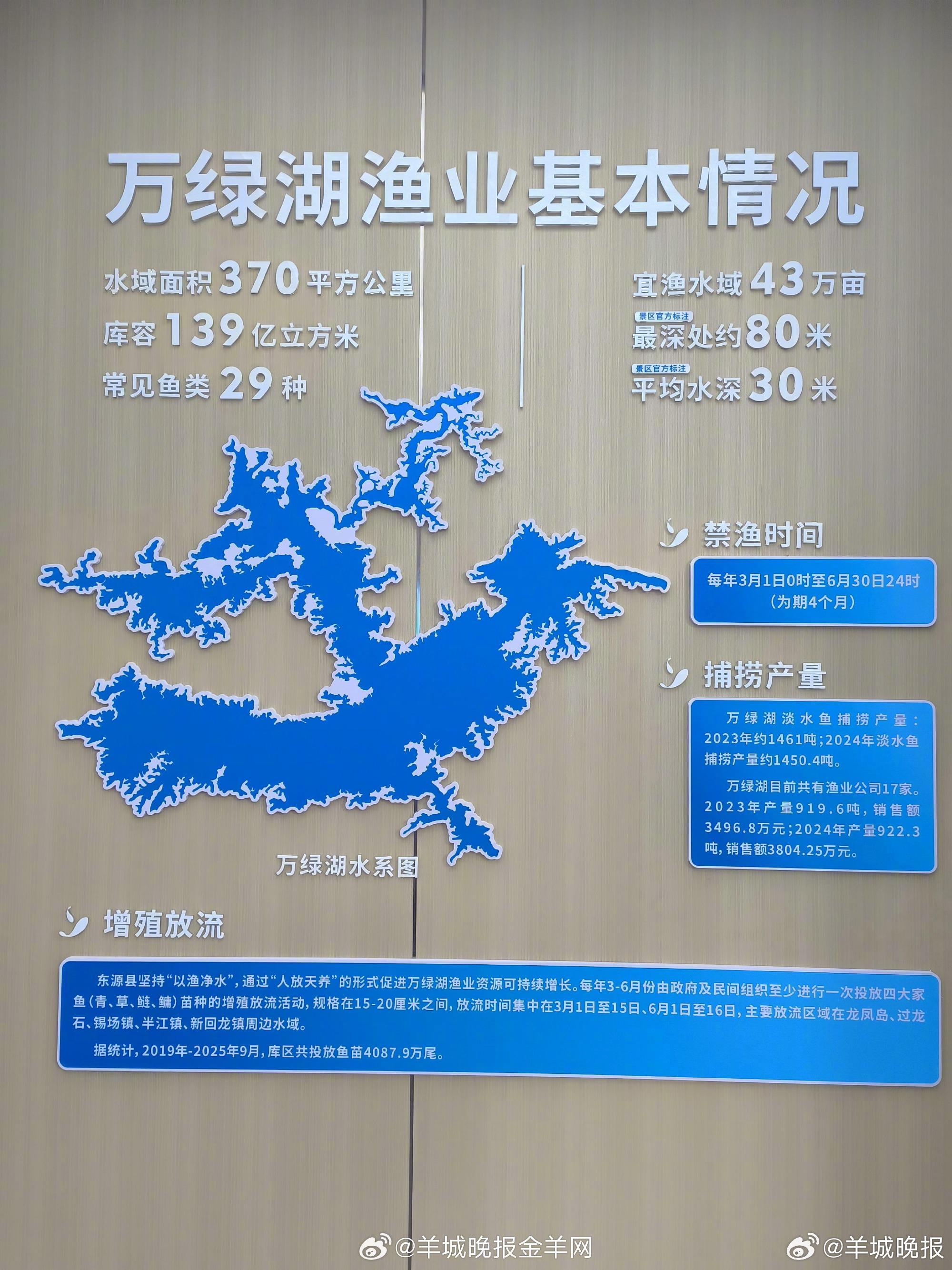【一鱼八味，看“粤菜师傅”如何巧烹万绿湖生态湖鲜】经过4个月的休渔静养，一湖水润