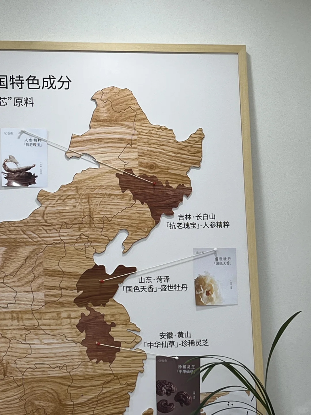 又是出差的一天。。