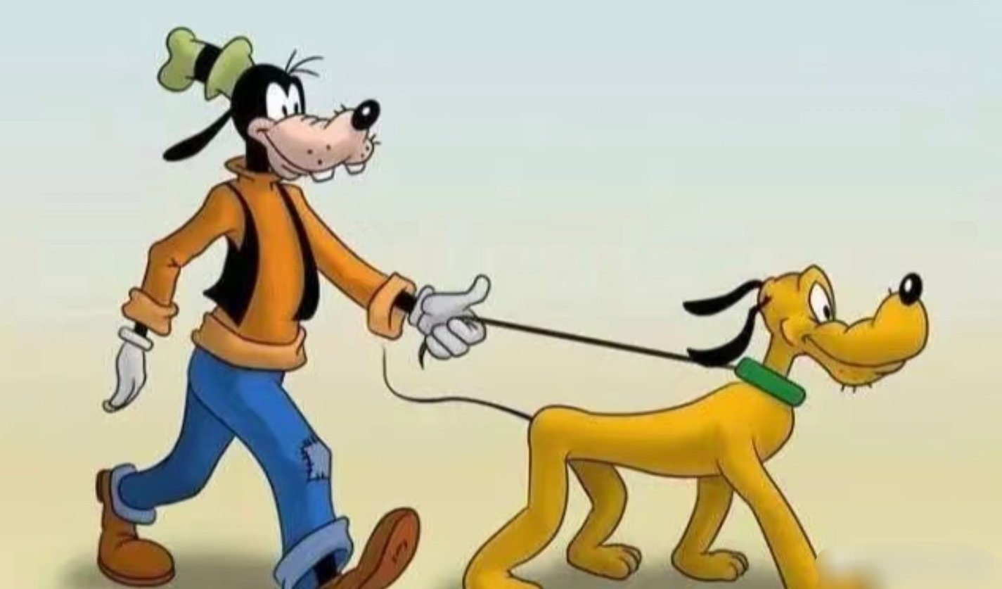 都是动物贵咪是被牵的那个🤣🤣🤣 
