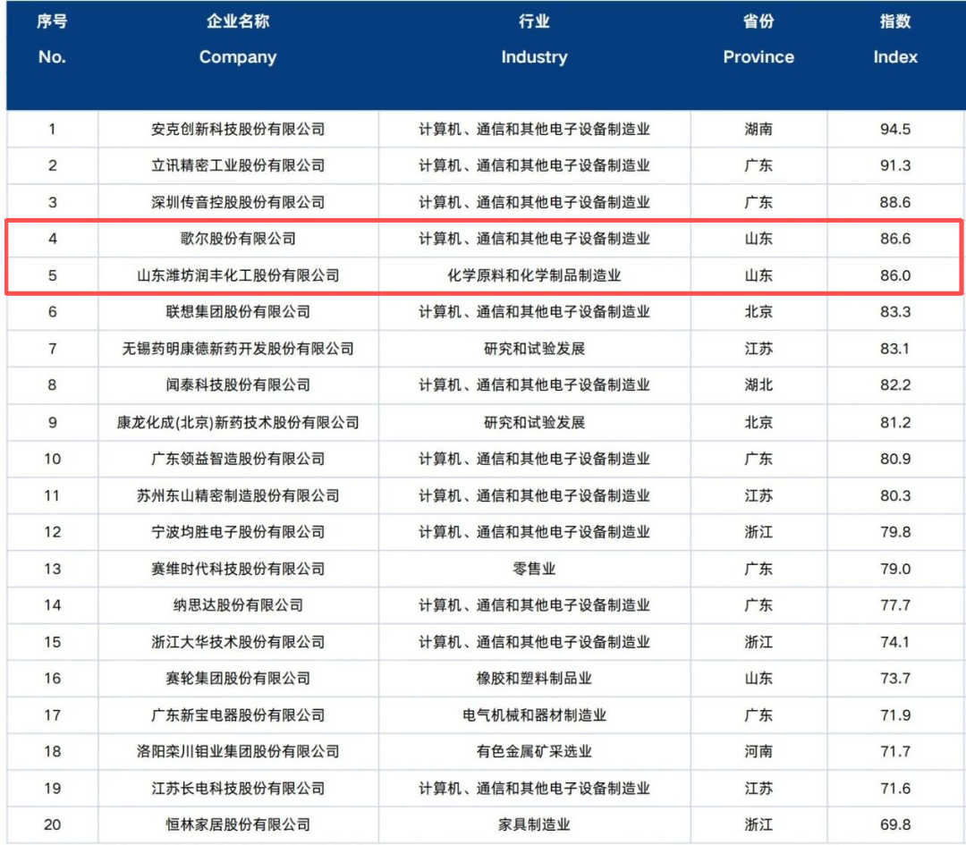 中国民企国际化百强榜发布，前五名潍坊占两家