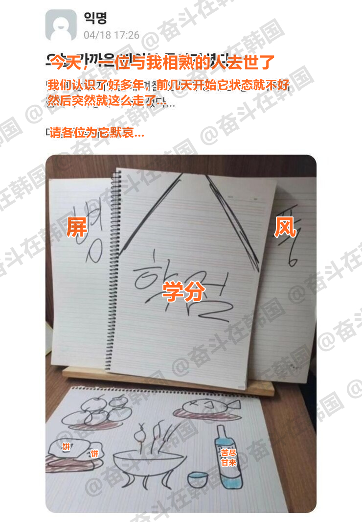 快考试了，大学生又开始发疯了 海外新鲜事热点现场 ​​​