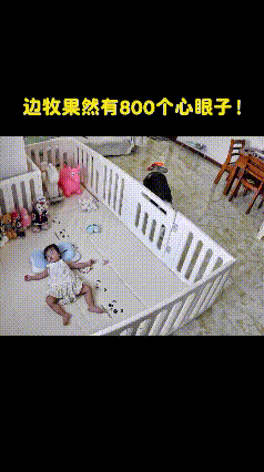 心机小狗太会撒娇！为蹭小主人枕头，翻来覆去花式贴贴😭
 
被这只满眼小心思的狗