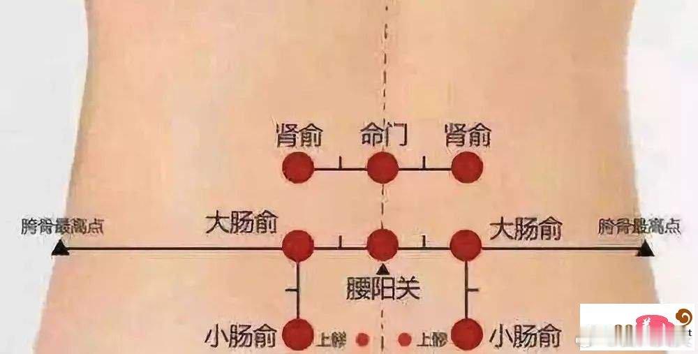 为什么大病、久病要灸肾俞、关元？ 很多病症，特别是慢性病或者大病基本都会配上肾俞