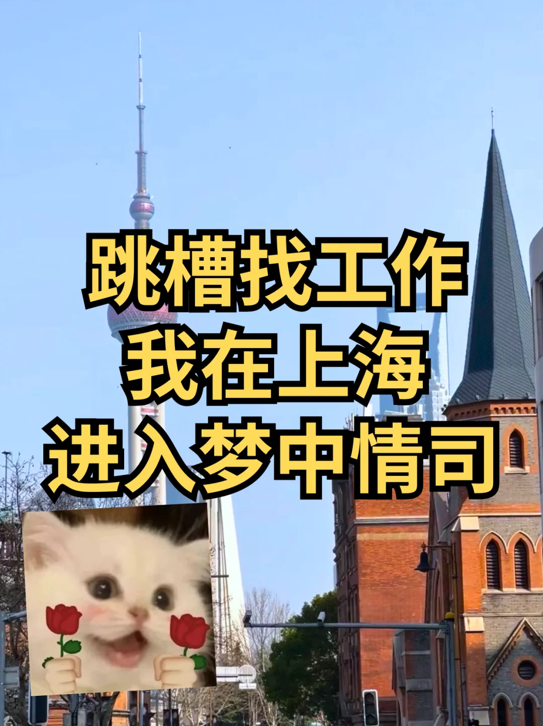 跳槽找工作，我在上海进入梦中情司💓