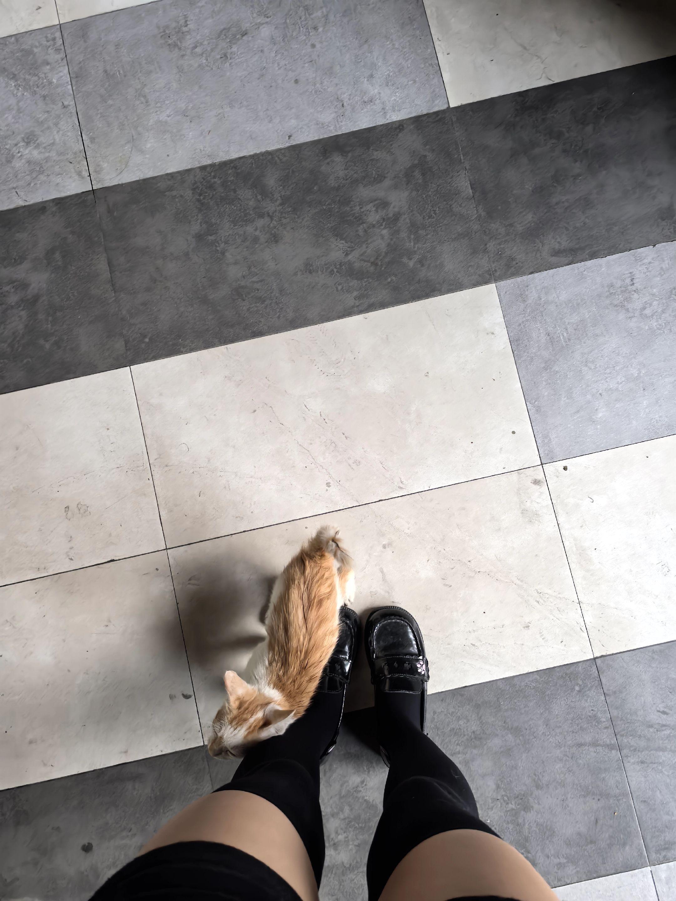 把期待降到最低 所有的遇见都是礼物