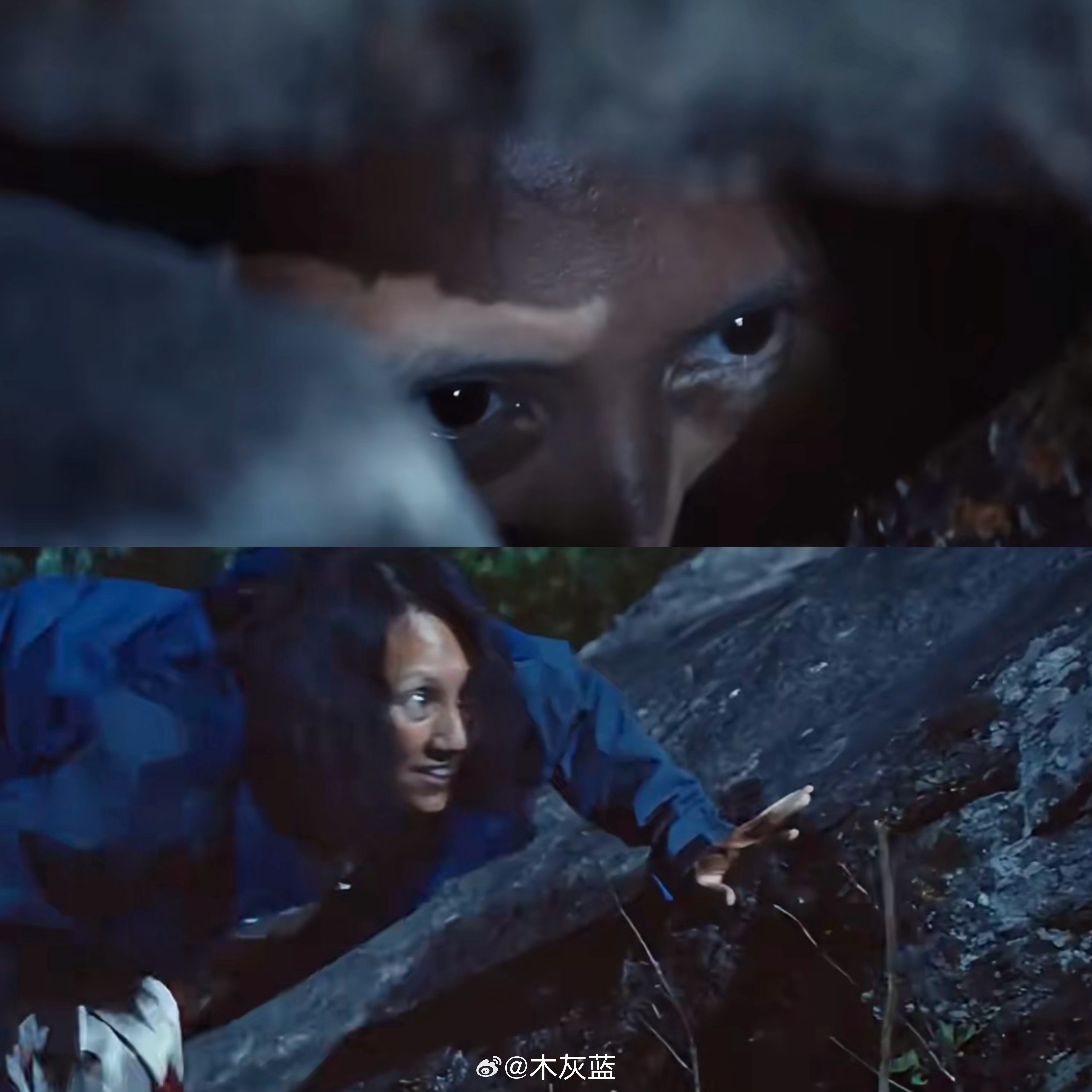 支宁的眼神比她手中的刀还要狠，这真的一点也看不出是那个温柔清澈的袁泉了。 