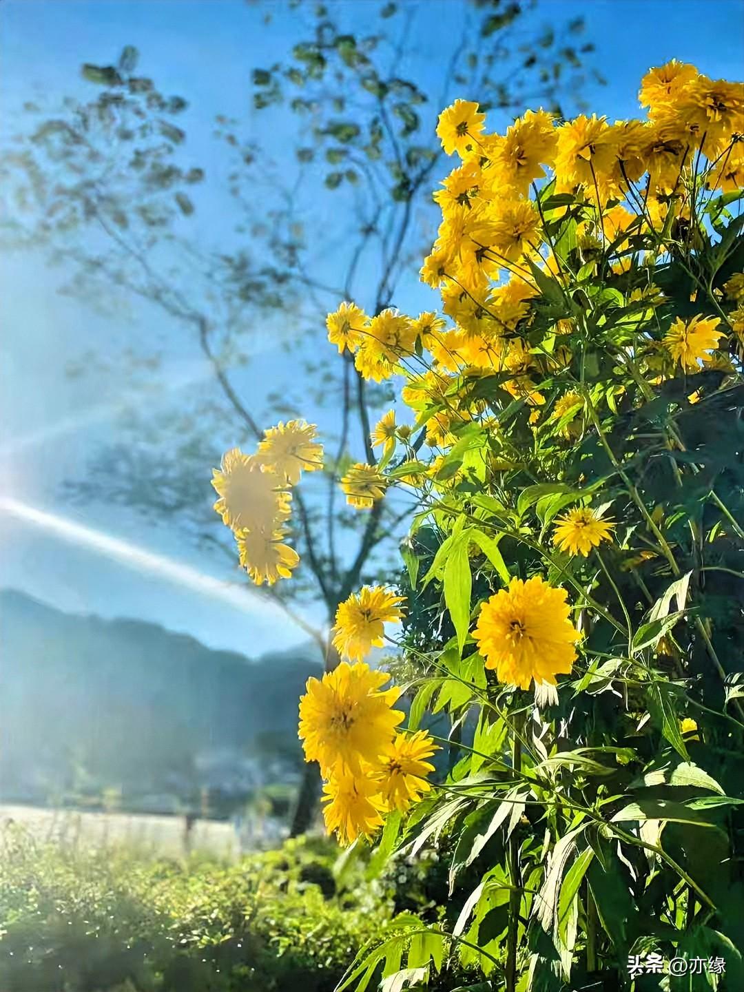 走过千山万水，还是当下最美；
经过姹紫嫣红，还是平淡长久；
越过繁华喧闹，还是简
