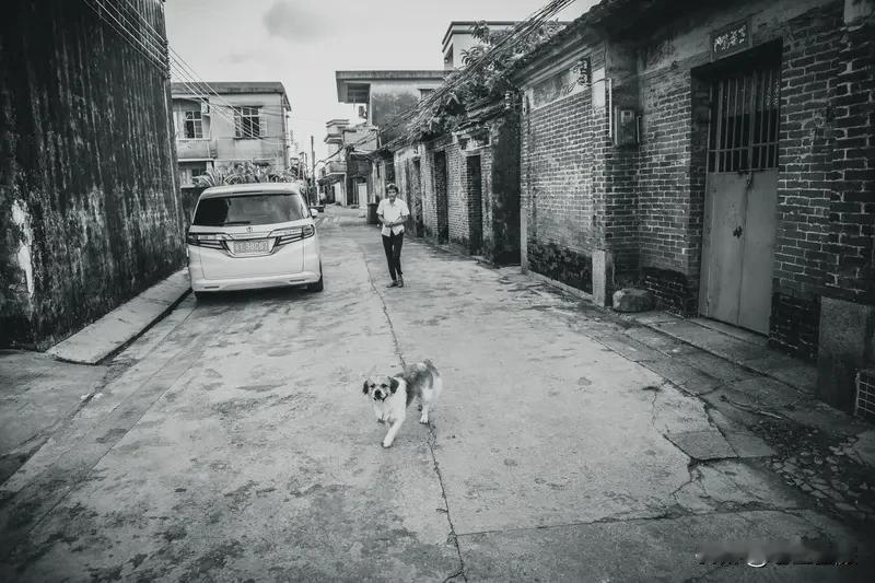 我超爱美丽乡村！就像中山的崖口村，澳大利亚人Jerry在这生活20多年，年年都来