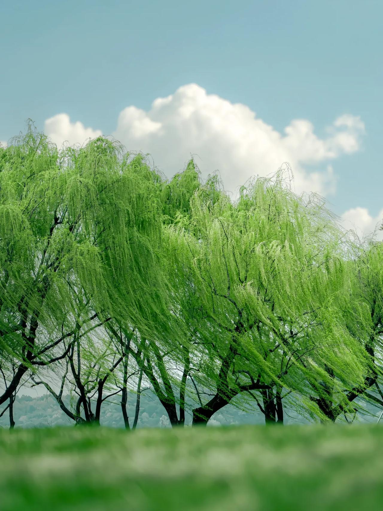 我常跟家长朋友们说，网上看到的信息，别急着相信，可以先观察、关注一下。要是还不放