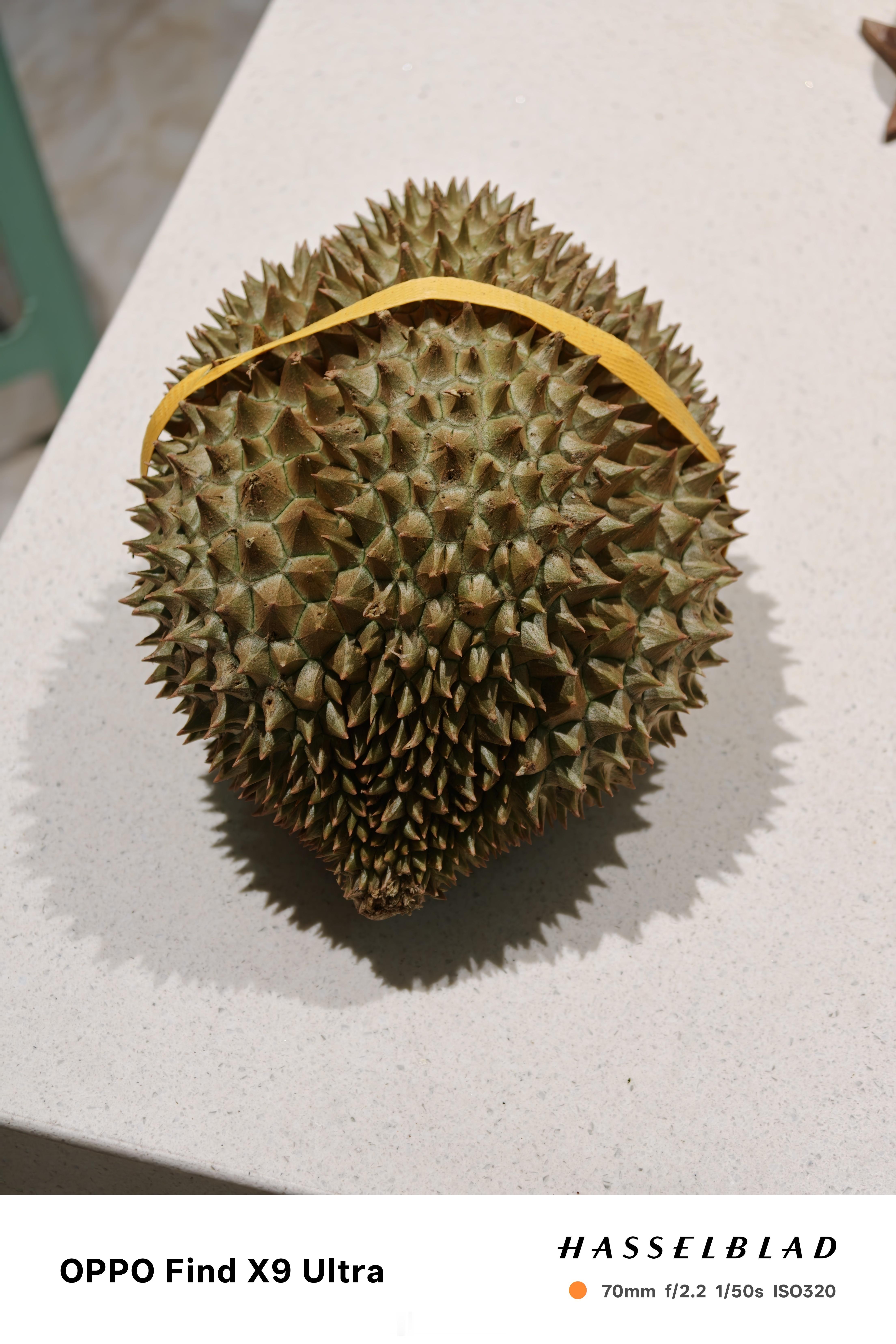 网上买了个榴莲，130块，实测2172克，等下看看能开出几等奖