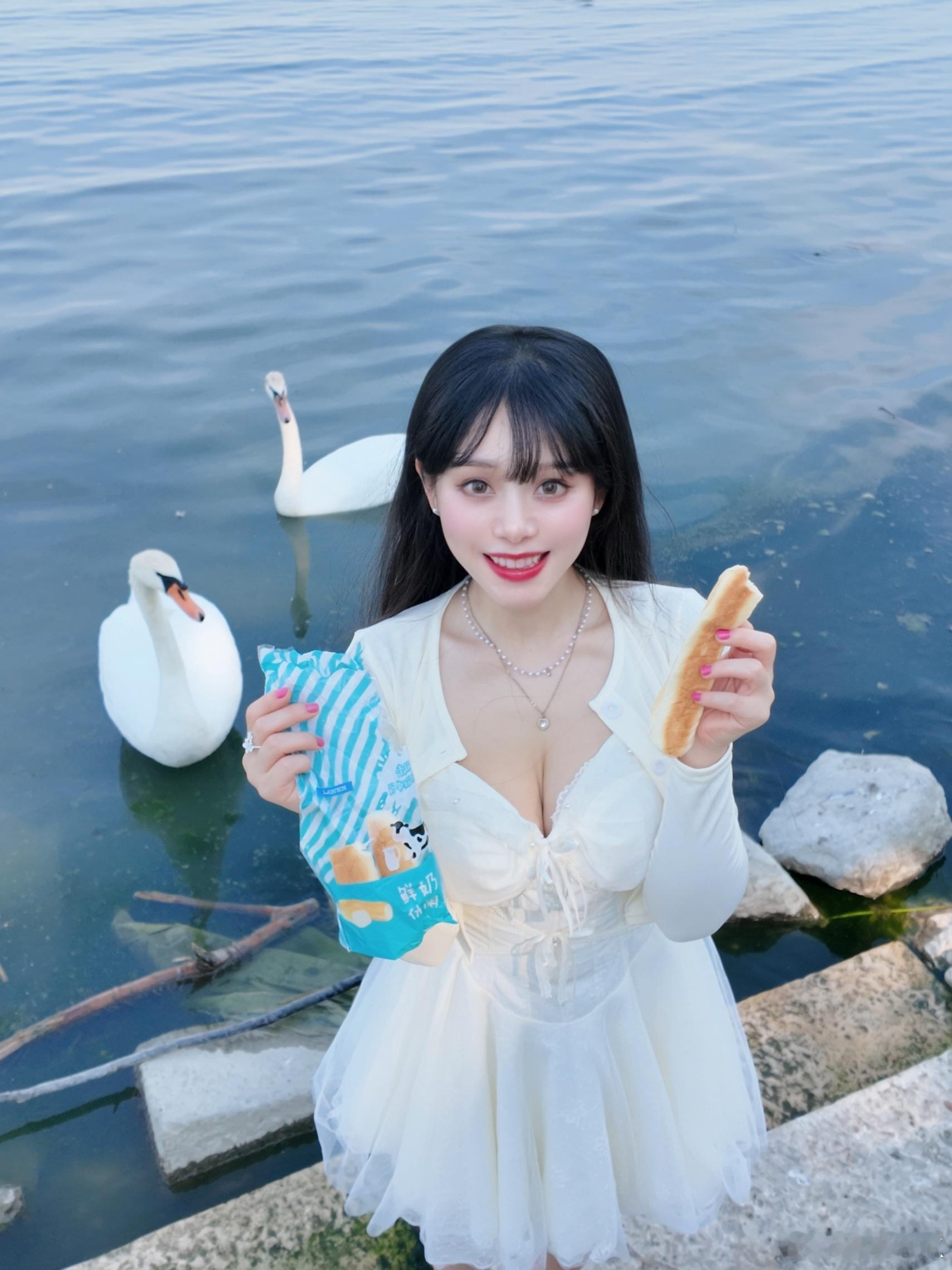 蓝色多瑙河午后✨赴一场和天鹅的约会💙  ​​​
